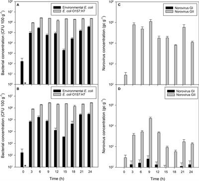 E. coli Is a Poor End-Product Criterion for Assessing the General Microbial Risk Posed From Consuming Norovirus Contaminated Shellfish